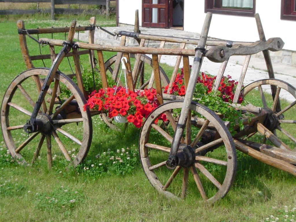 Serena Guesthouse Bran Бран Экстерьер фото