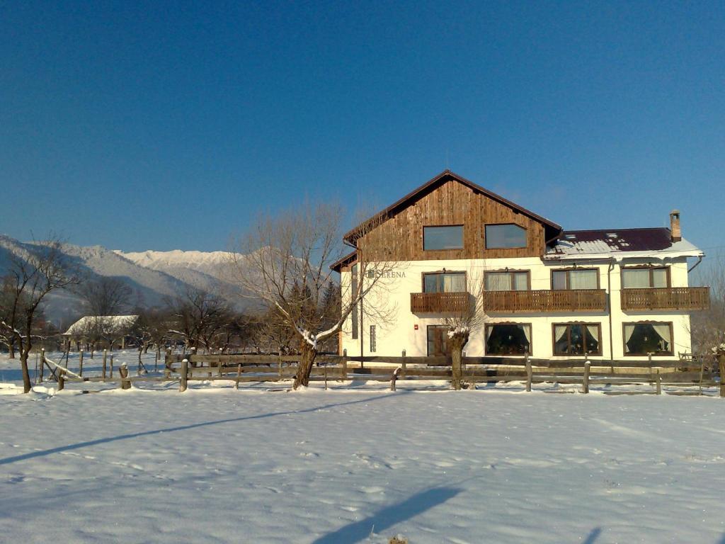 Serena Guesthouse Bran Бран Экстерьер фото