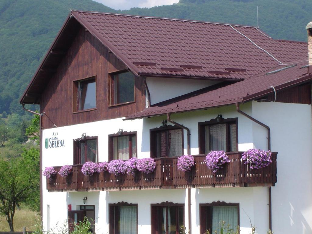 Serena Guesthouse Bran Бран Экстерьер фото